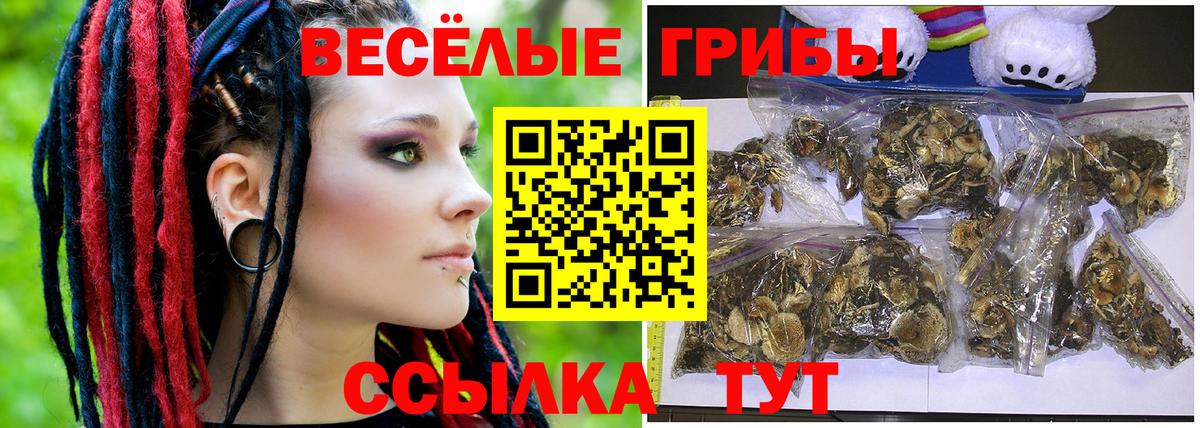 Россошь  где купить наркотик  Вход с VPN  Псилоцибиновые грибы MAGIC MUSHROOMS 